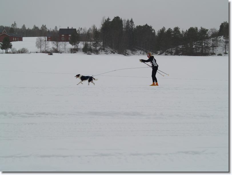Nästa bild